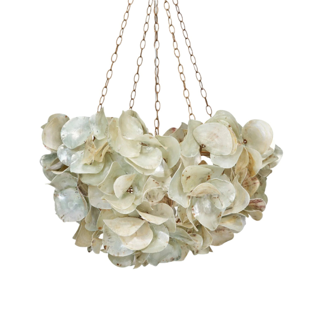 Contemporary Champagne Frost Natural Chandelier