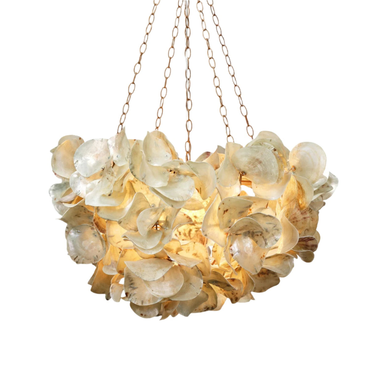 Contemporary Champagne Frost Natural Chandelier