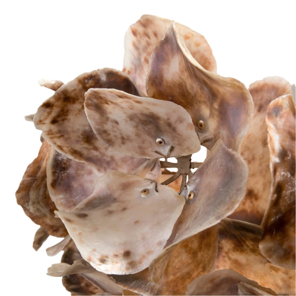 Contemporary Champagne Frost Natural Chandelier