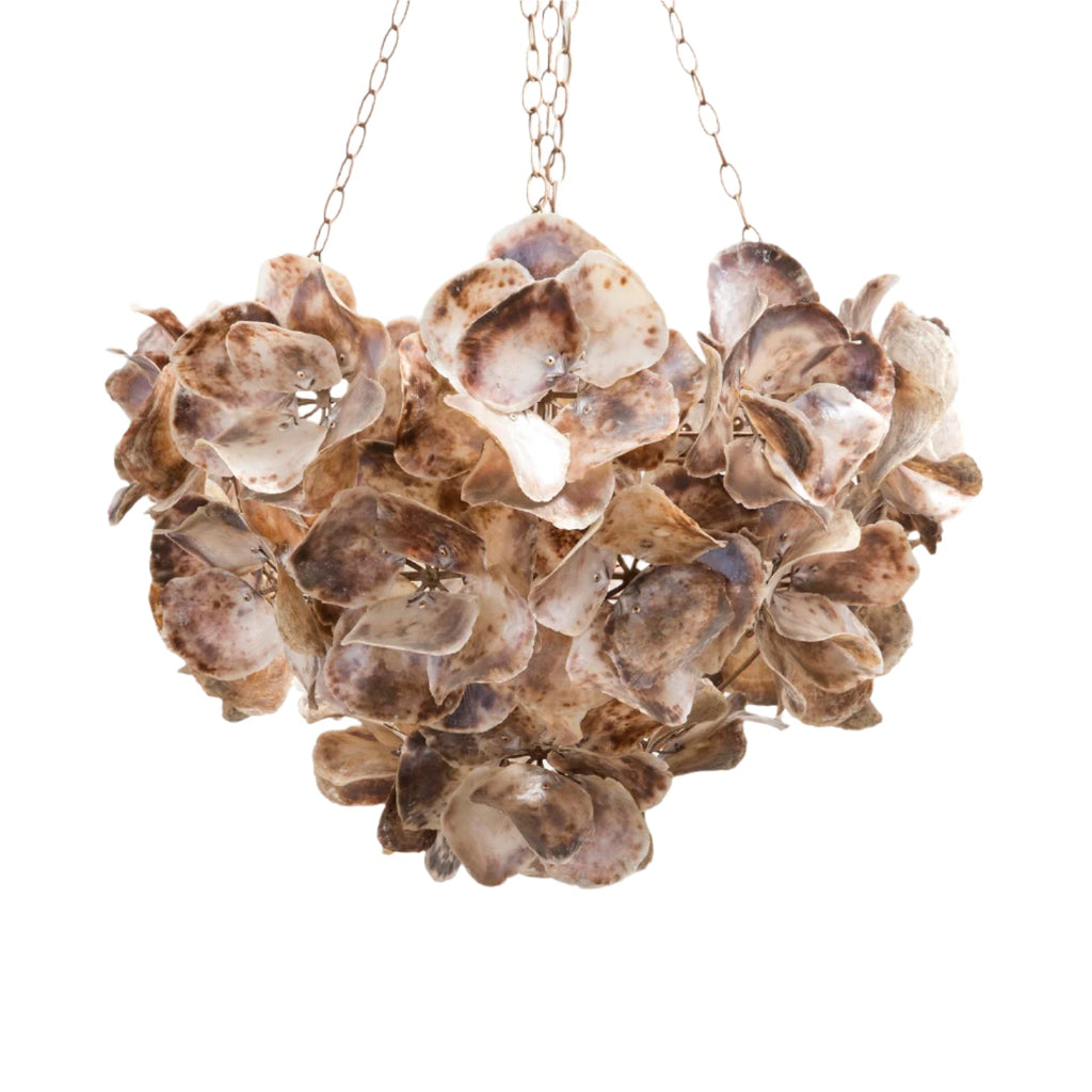 Contemporary Champagne Frost Natural Chandelier