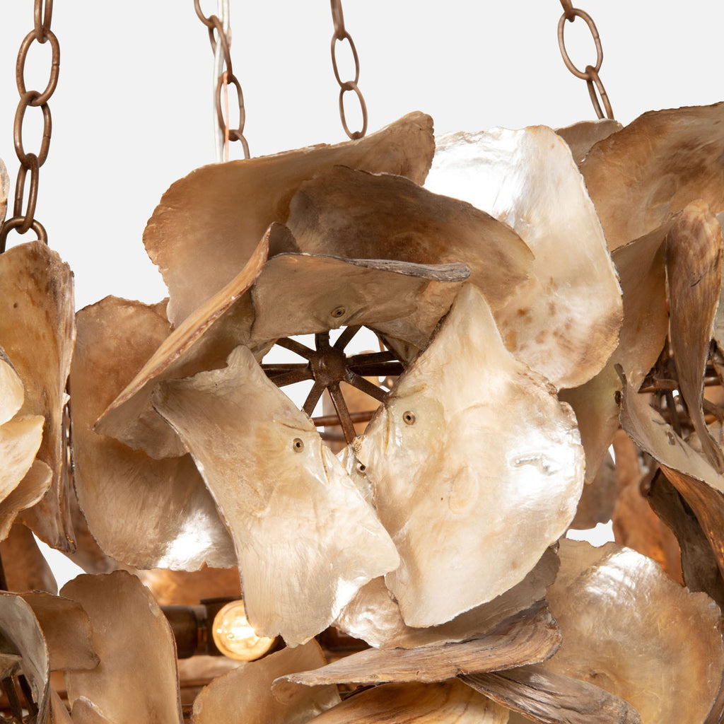 Contemporary Champagne Frost Natural Chandelier / Natural