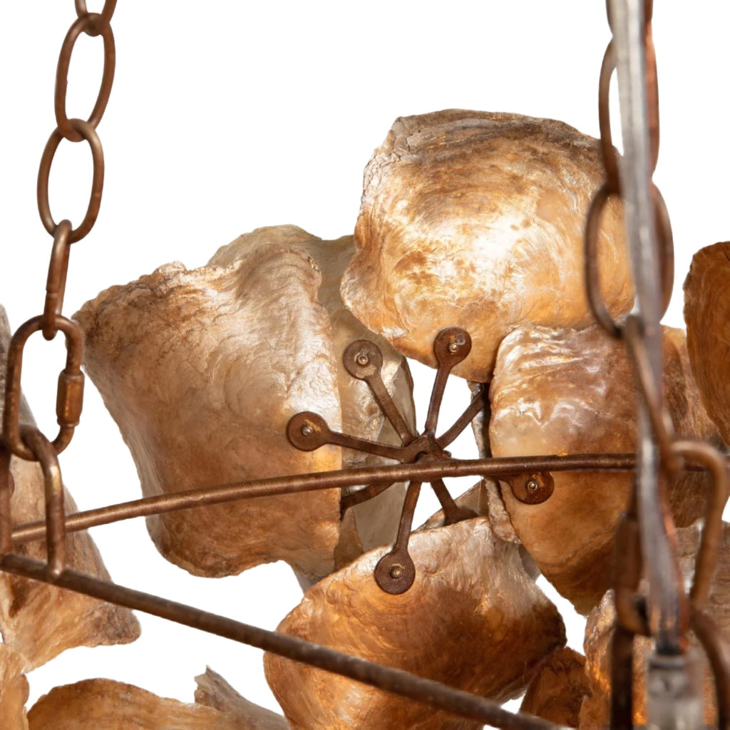 Contemporary Champagne Frost Natural Chandelier